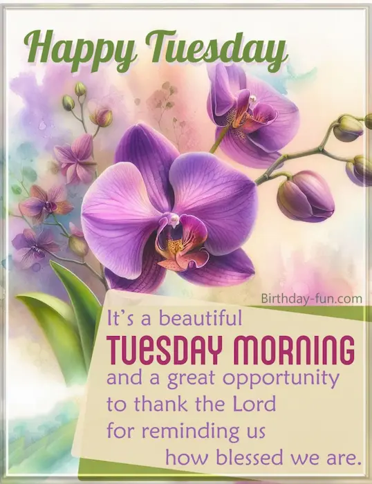 happy tuesday morning wishes